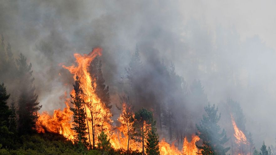 Los incendios baten récords en Europa, con la península ibérica como su principal víctima