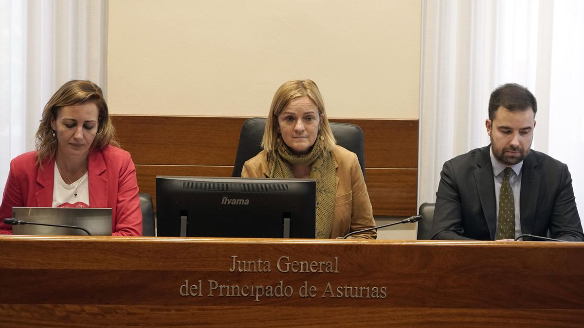 Covadonga Tomé, en el centro, presidió este viernes la comisión. A su lado, Delia Campomanes. 