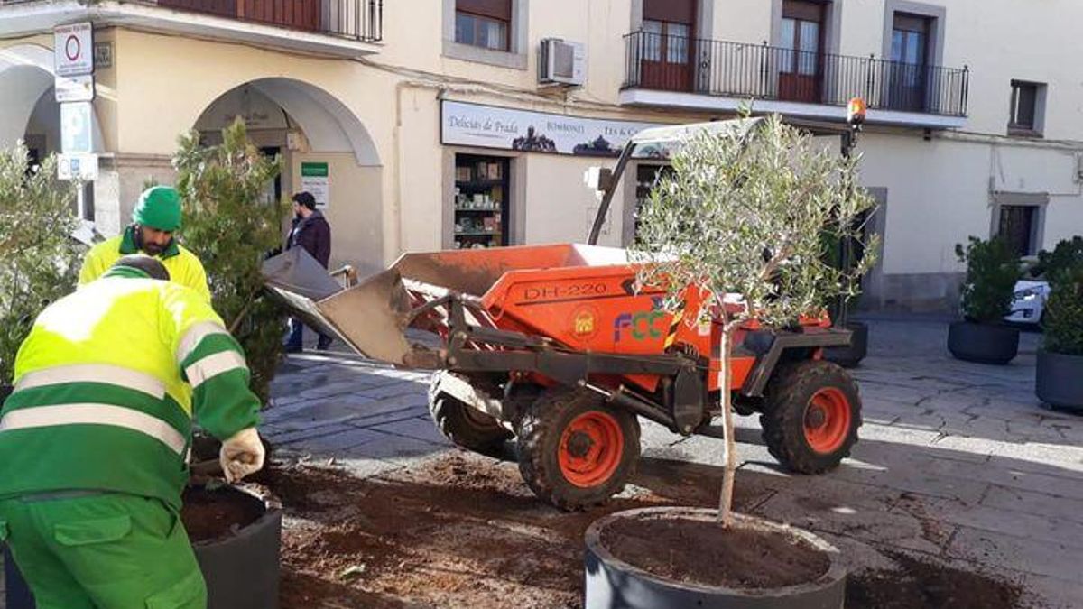 Trabajadores del área de Parques y Jardines de Mérida