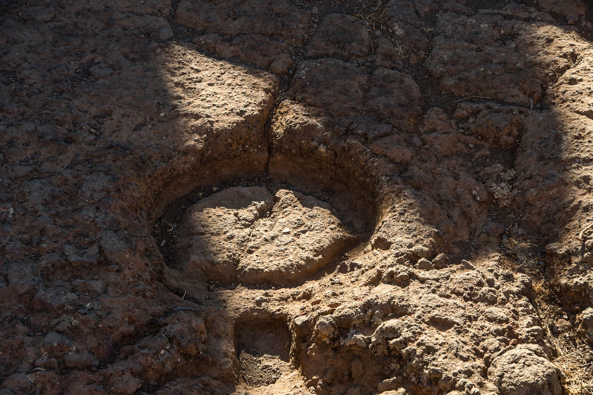 Llegada del otoño al yacimiento del Roque Bentayga (Canarias Ahora)