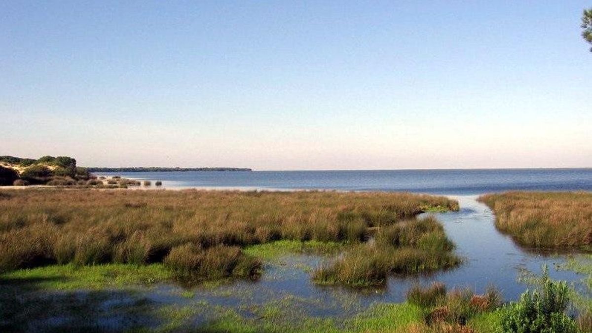 El Parque Nacional de Doñana.