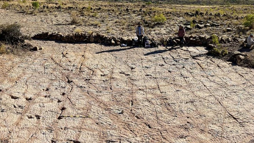 No se había visto nunca: Bolivia guarda un registro fósil tan detallado que permite ver cómo los dinosaurios caminaban, giraban y nadaban en aguas poco profundas