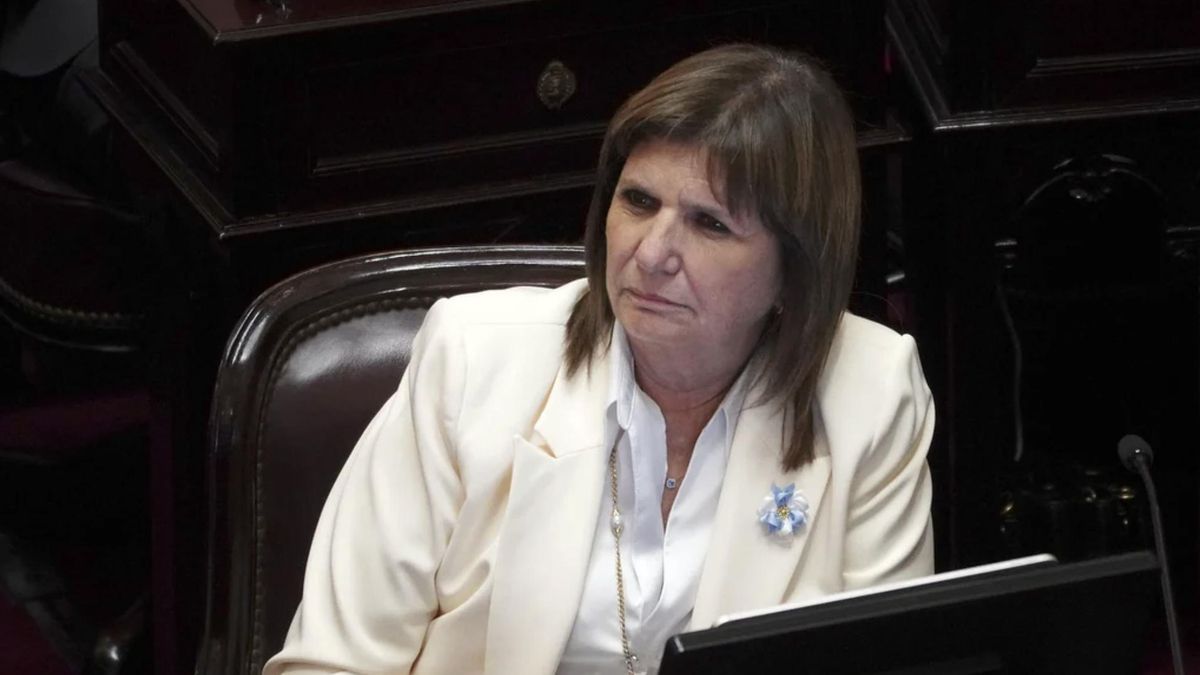 El Gobierno enviará al Senado las reformas más sensibles: Discapacidad, Salud Mental y propiedad privada