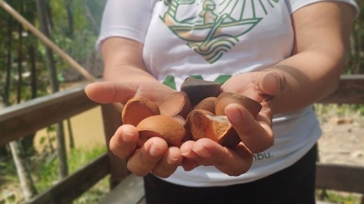 Danielle Raiol, presidente de la Associação de Mujeres Extractivistas de Combu.