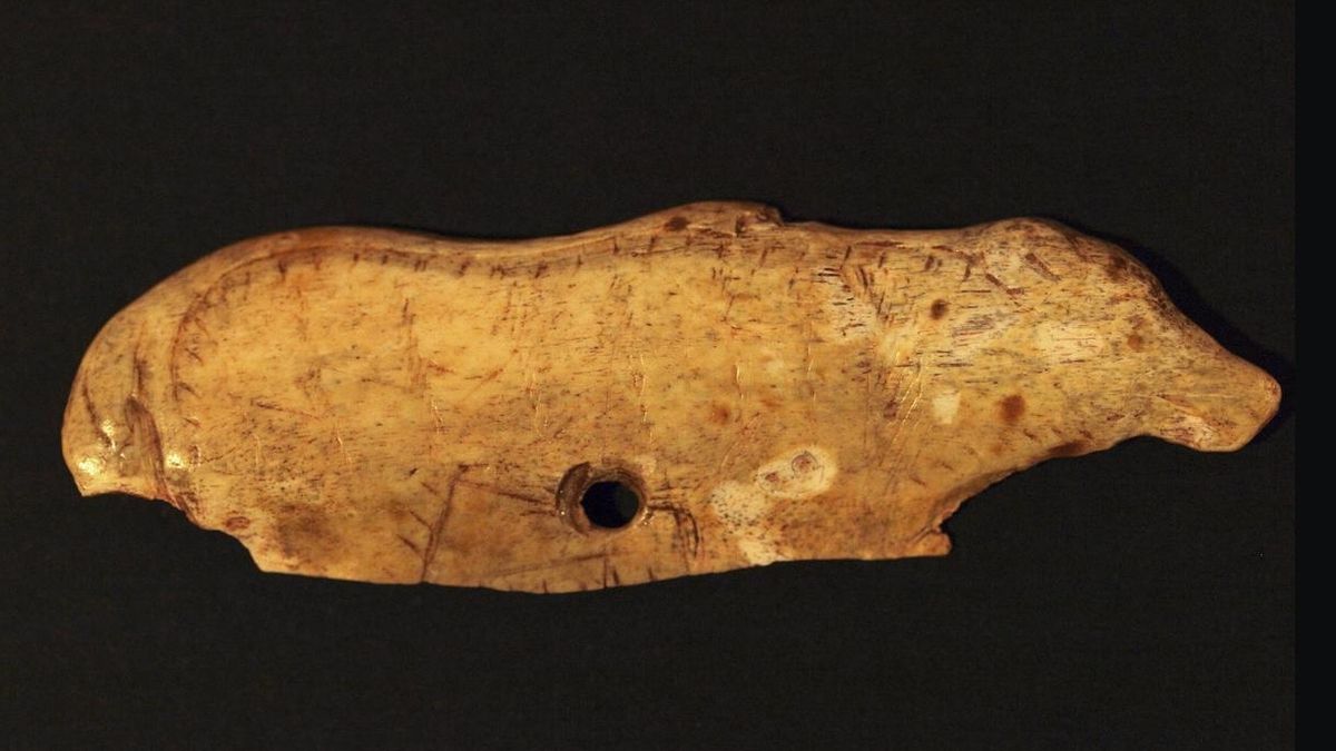 El MUPAC presta una pieza paleolítica de La Garma al Museo de Arqueología de Suiza