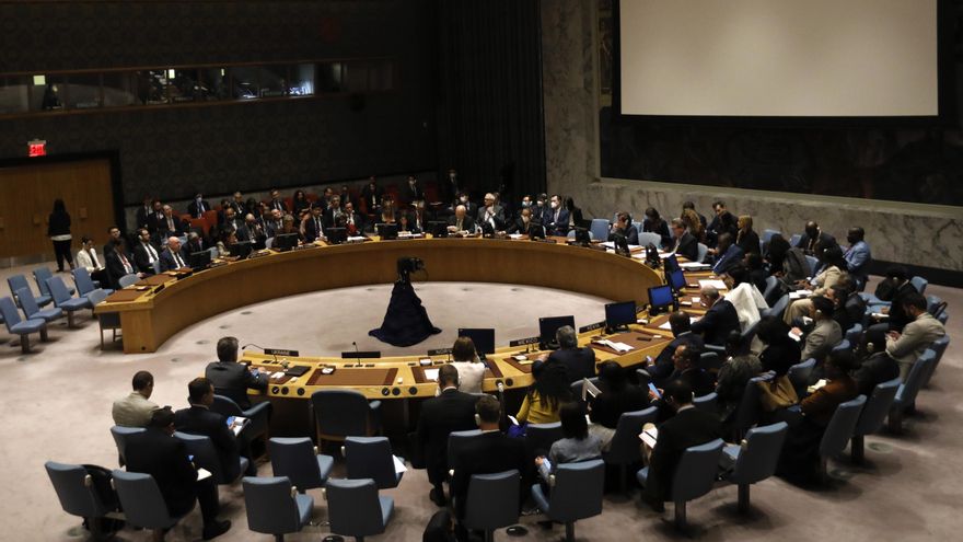 Fotografía de archivo de una sesión del Consejo de Seguridad de la ONU. EFE/EPA/Peter Foley