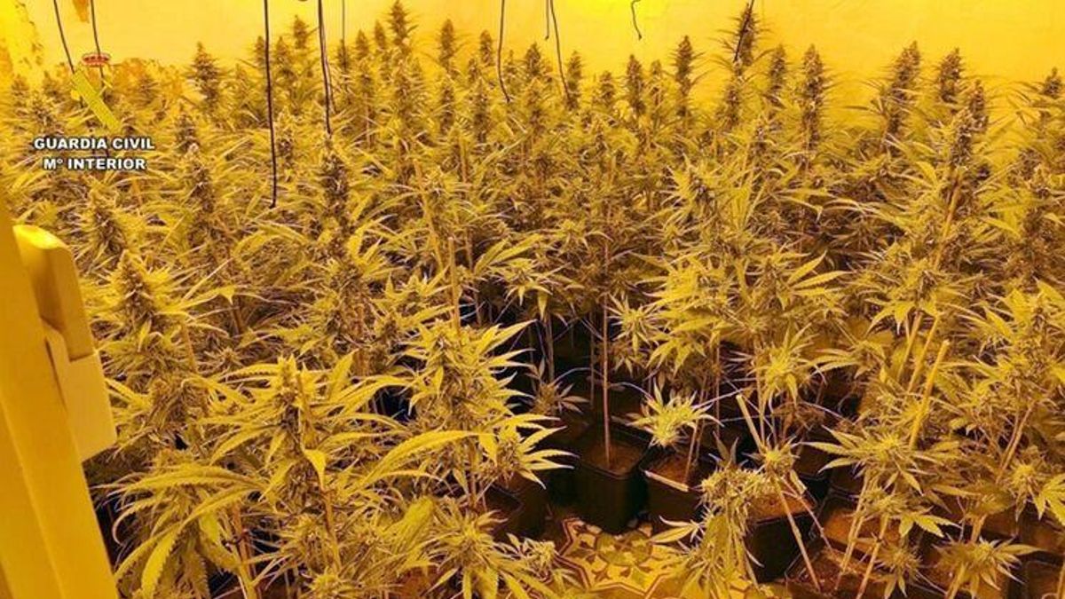 La vivienda con todo tipo de elementos de iluminación, sistemas de ventilación y extractores.