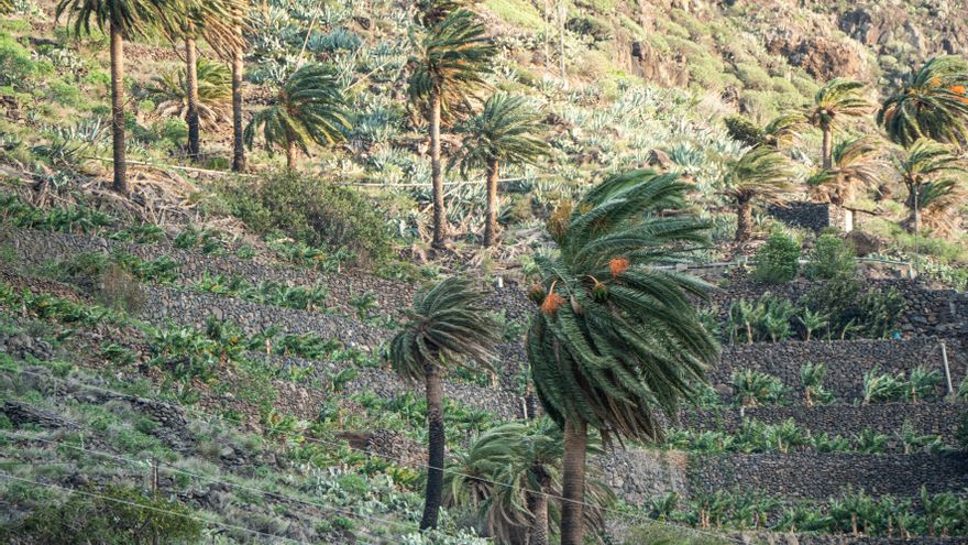 La Aemet prevé para este viernes fuertes rachas de viento en Canarias y no descarta una ligera calima