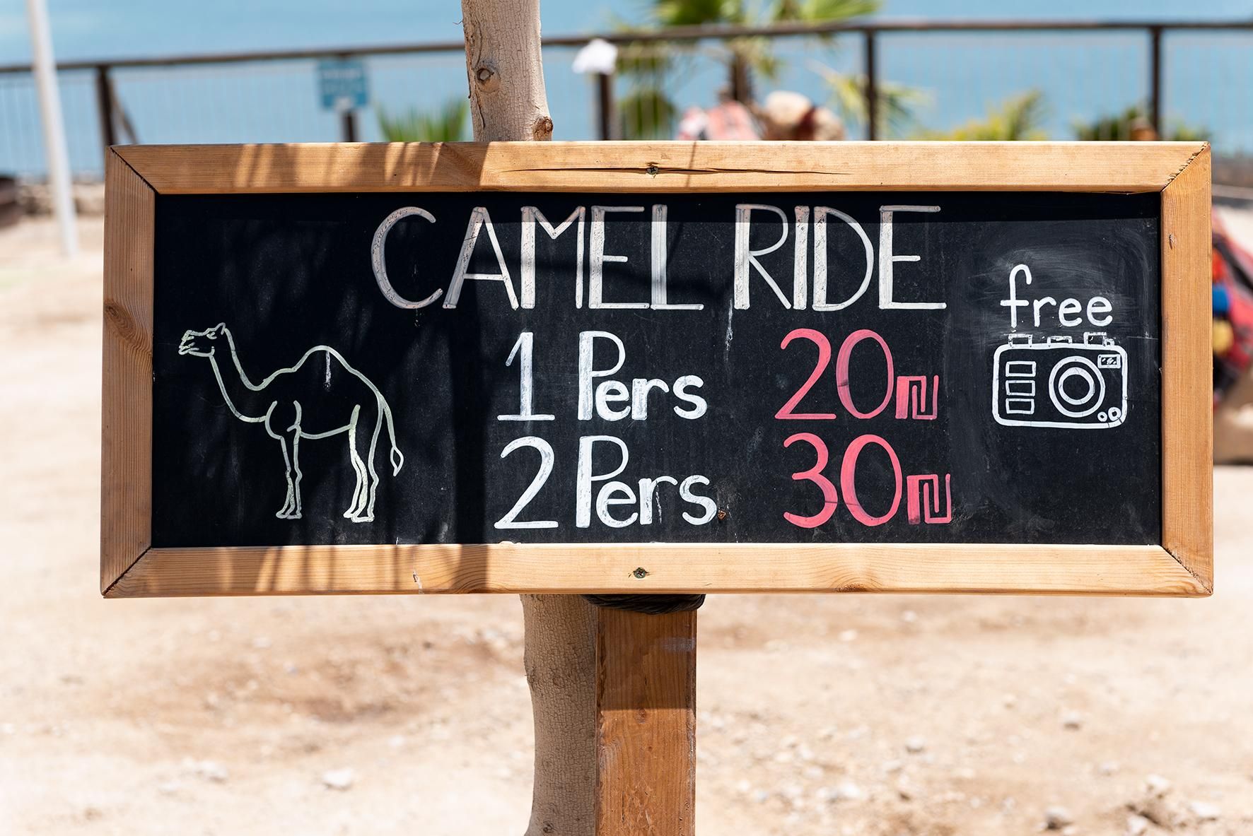 Cartel anunciando atracciones con camellos