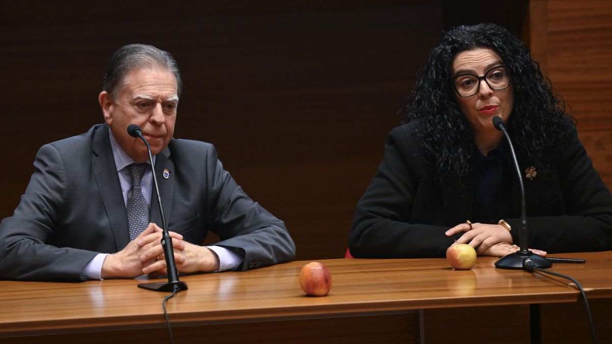 Ël alcalde de Oviedo, Alfredo Canteli, y la consejera de Cultura, Política Llingüística y Deporte del Gobierno asturiano, Vanessa Gutiérrez, atienden a los medios de comunicación, este viernes.