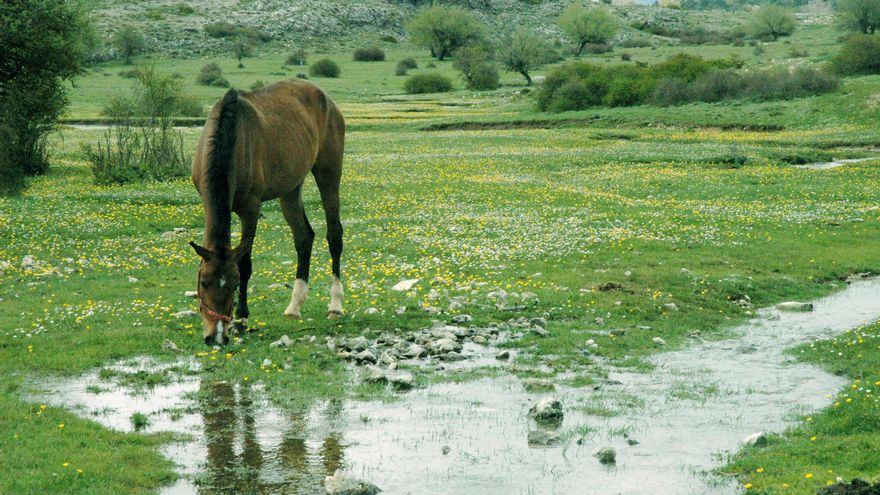 El rincón de Albacete desde el que se reforestó Europa hace diez mil años: Los Calares del Río Mundo