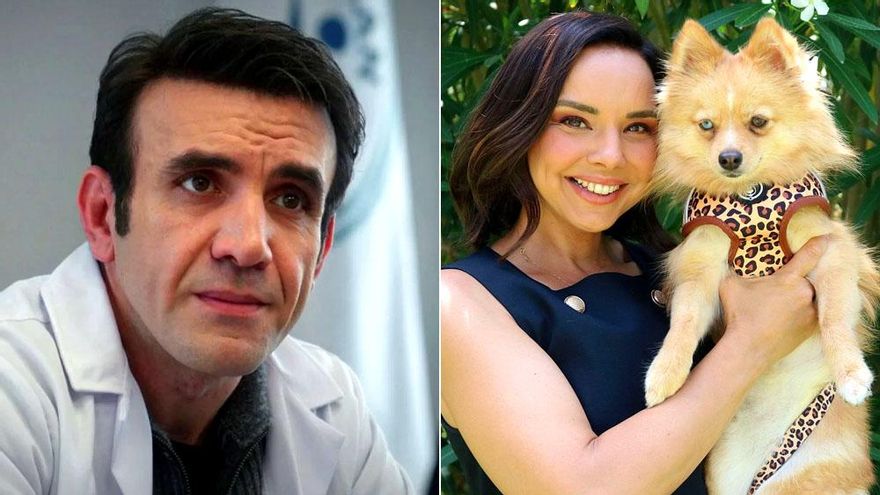 'Renacer' (9.7%) y el estreno de 'Dog House' (9%) lideran el prime time más 'barato' de lo que llevamos de verano