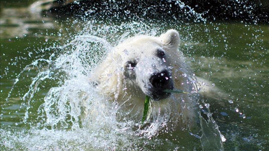 Experto en el cambio climático dice que el clima actual ha incrementado el riesgo de olas de calor
