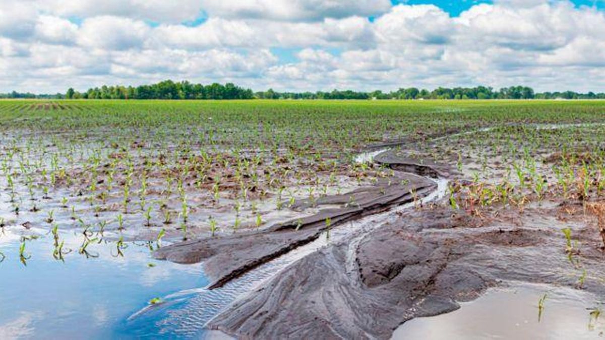 Tormentas e inundaciones en provincia de Buenos Aires: beneficios para productores de 19 distritos