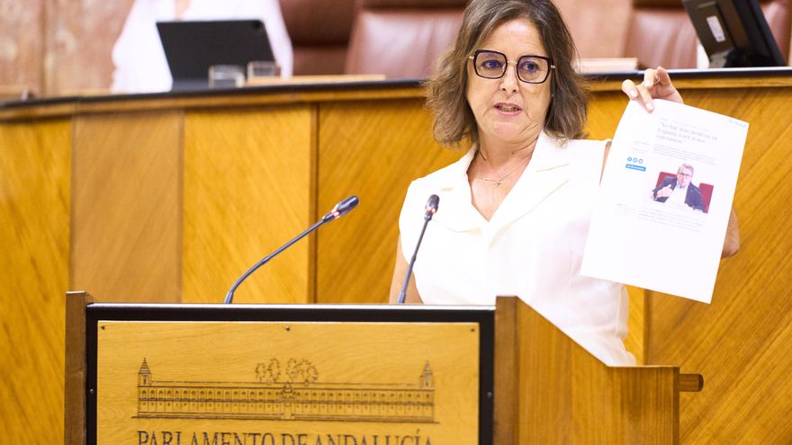 La consejera andaluza de Salud omitió al Parlamento el concierto con la privada al presentar sus políticas en salud mental