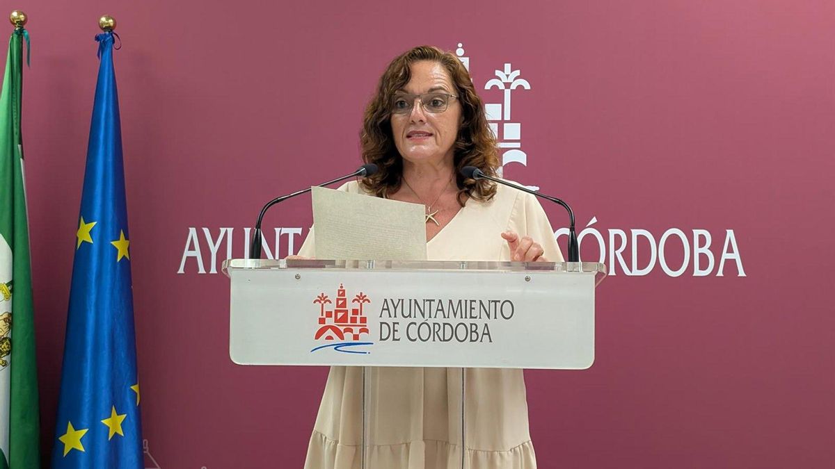 El PSOE reclama "priorizar la renovación y mantenimiento" de los colegios al Consejo Escolar Municipal
