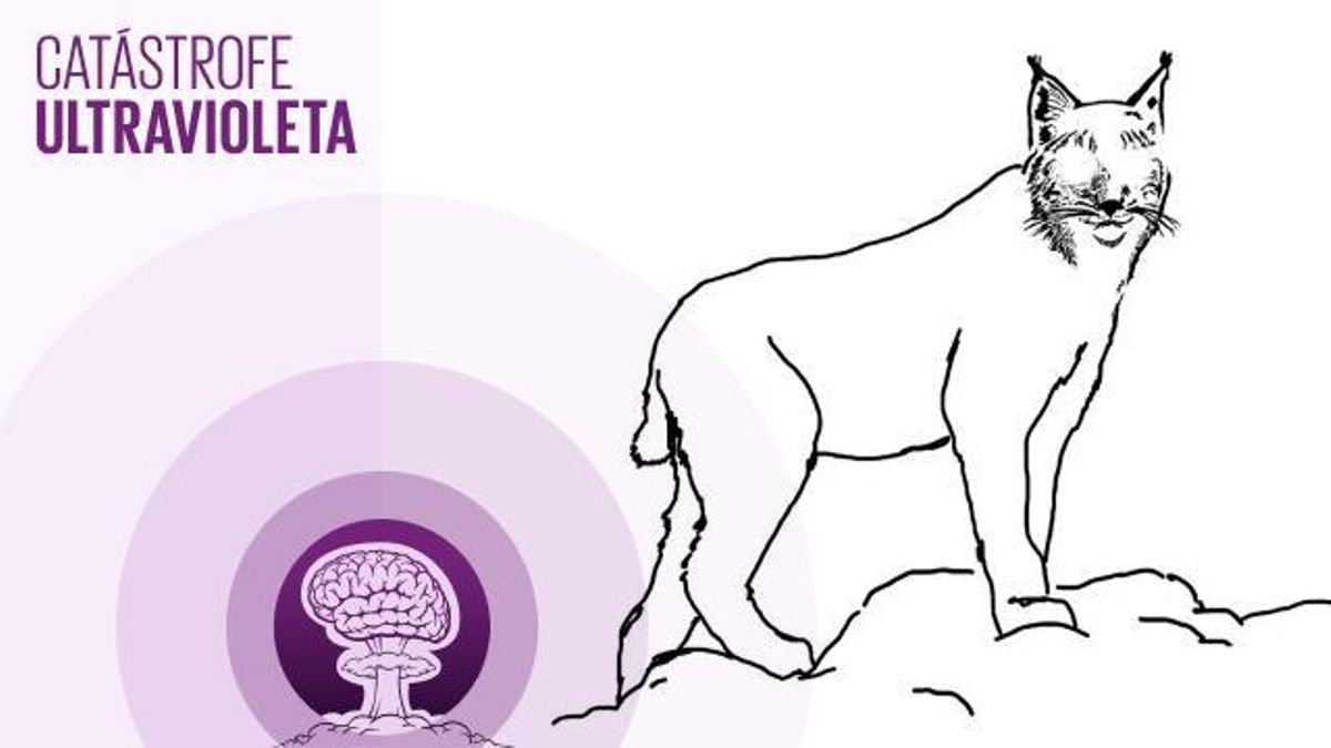 🎙 PODCAST | Linces o qué lleva a cuatro españoles a buscar felinos al Himalaya