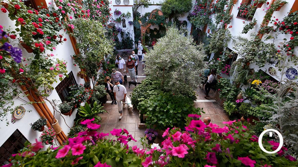 Patio Chaparro, 3- 2022