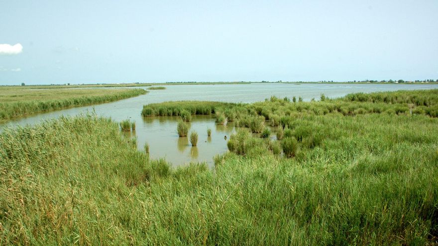 Laguna de L'encanyissada.
