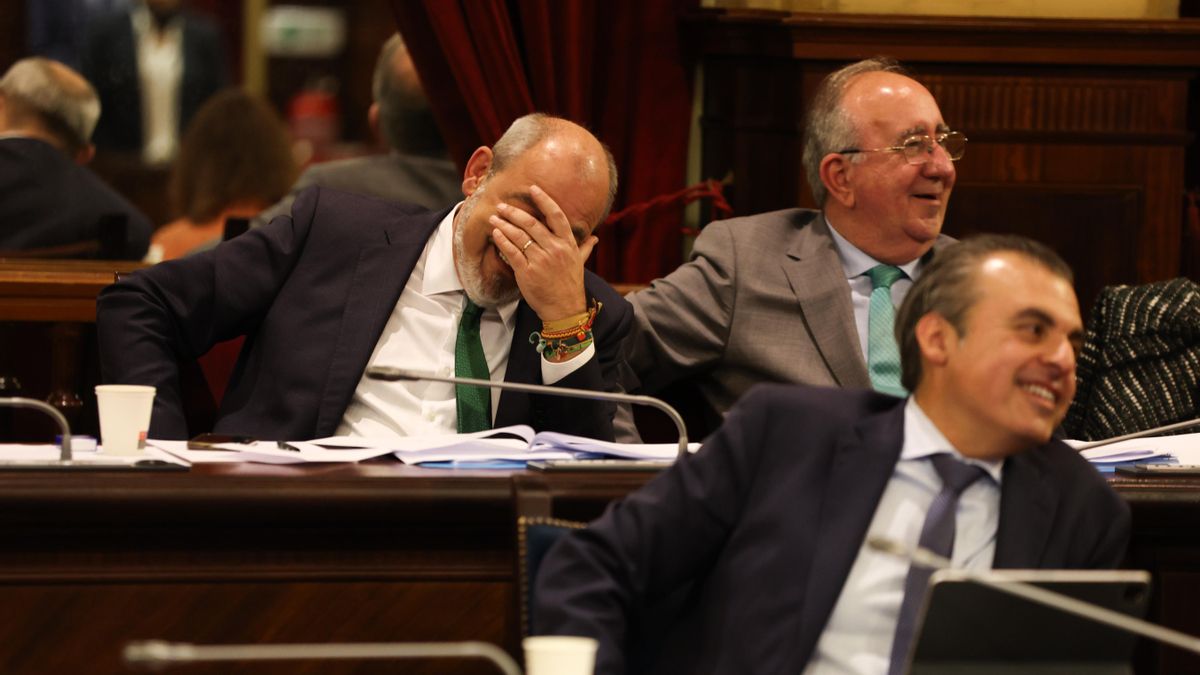 A la segona fila, a l'esquerra, el portaveu adjunt de Vox al Parlament balear Sergio Rodríguez, en una altra sessió plenària