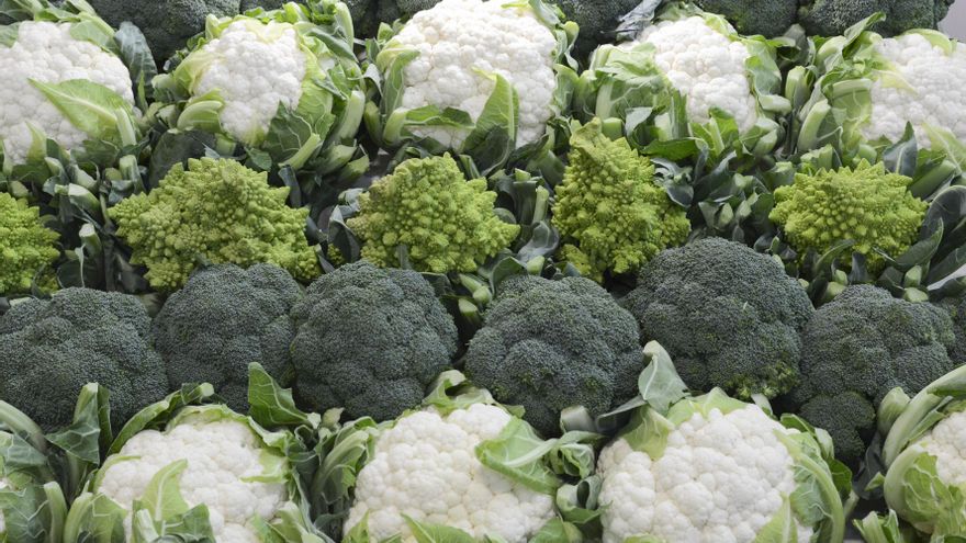 El Gobierno central aprueba un paquete legislativo para la aplicación de la PAC en el sector hortofrutícola