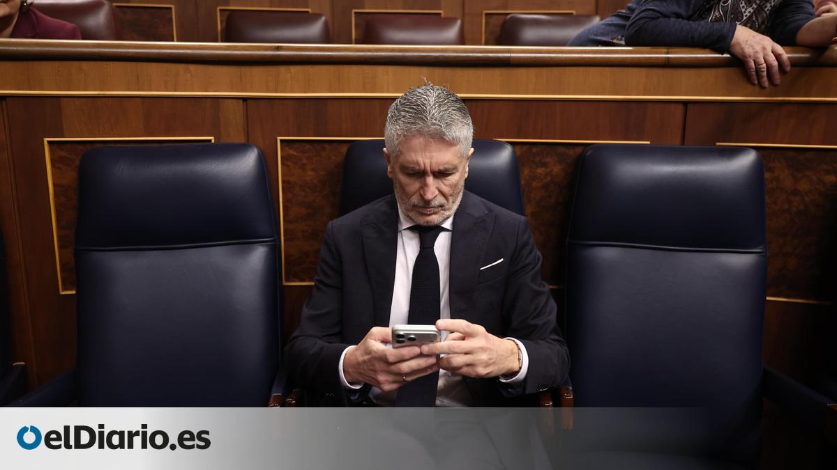 El PP pide la dimisión de Marlaska tras el cese del jefe policial ...
