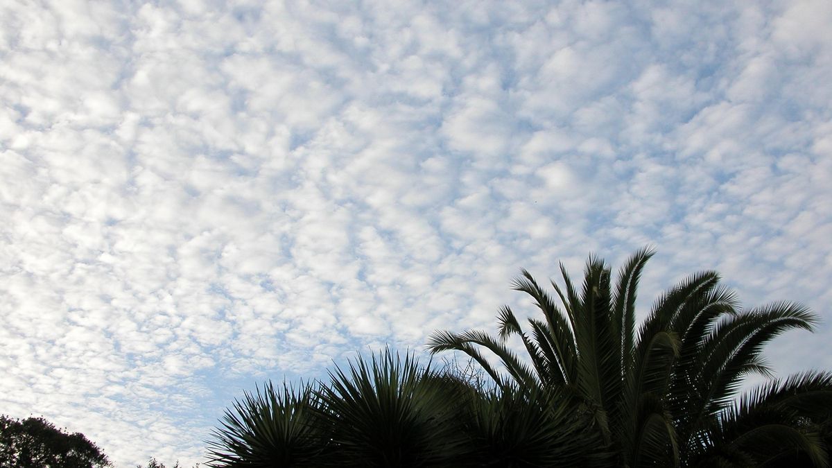 Nubes altas y una calima ligera sobre Canarias este viernes