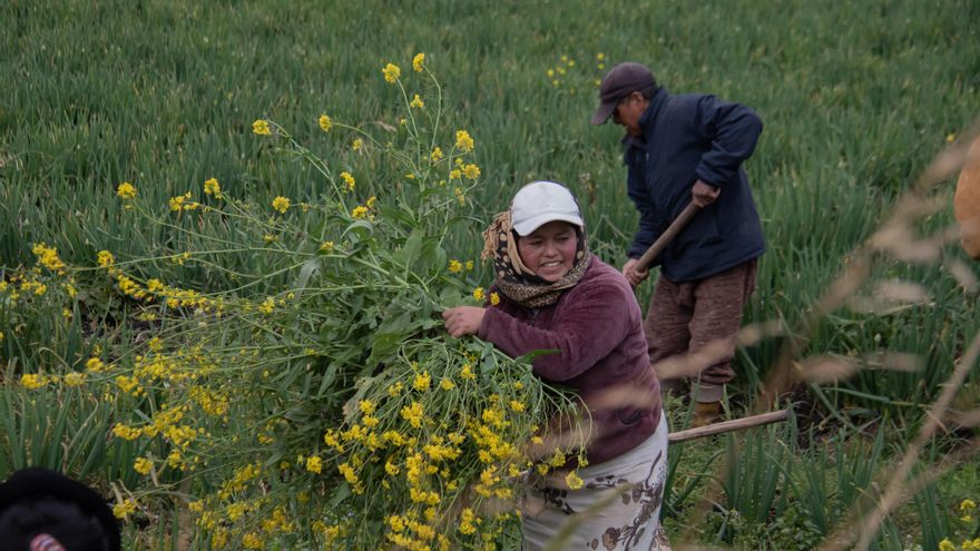 Aragón lidera los recortes nacionales en cooperación y las ONG temen no poder continuar con su trabajo internacional