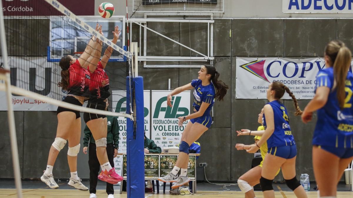 Final del Campeonato de Andalucía de Voleibol