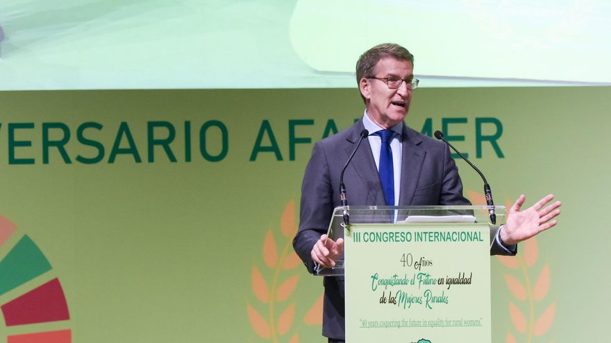 El presidente del Partido Popular, Alberto Núñez Feijóo.