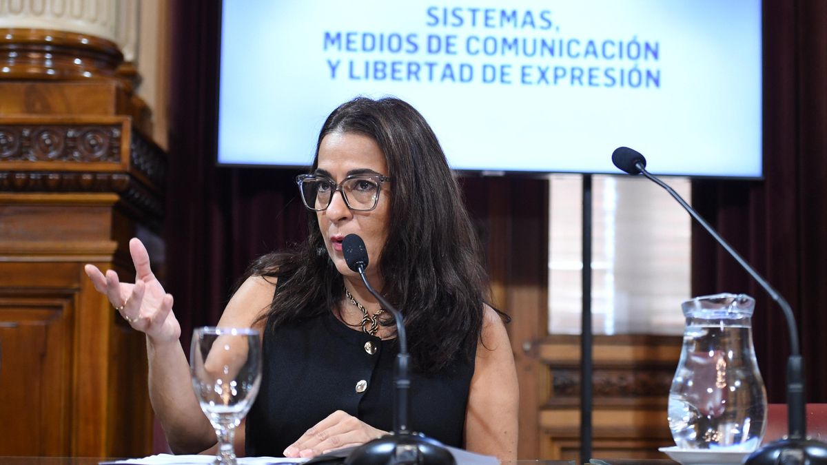 Carolina Moisés, presidenta de la Comisión de Sistemas, Medios de Comunicación y Libertad de Expresión del Senado.