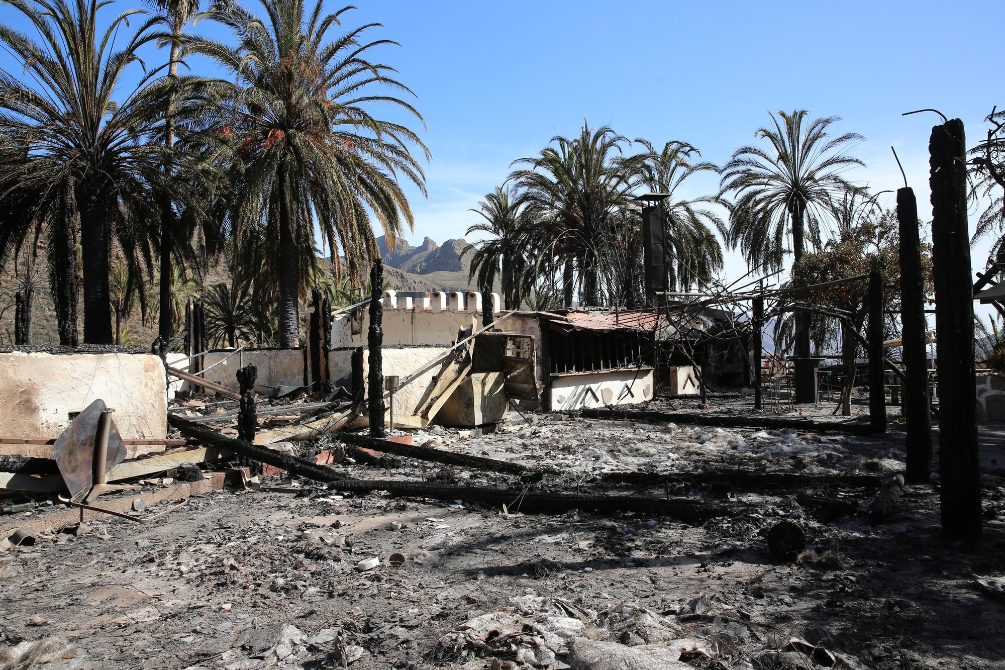 Así ha quedado el palmeral de Fataga tras el incendio declarado este sábado