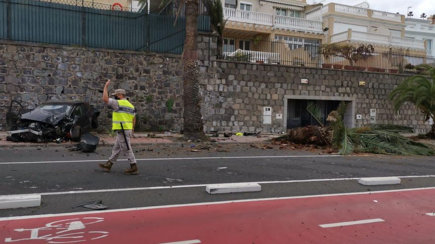 El vehículo, tras impactar contra la palmera