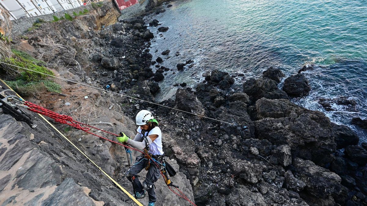Las Palmas de Gran Canaria inicia una limpieza "en vertical" de los acantilados del Paseo al Confital