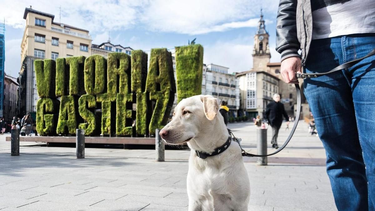 Vitoria sopesa crear un cementerio de animales de compañía para darles "dignidad" y evitar entierros ilegales