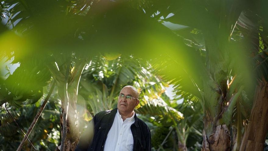 Contigo La Palma plantea soluciones estructurales para salir de la "crisis larvada" del sector platanero