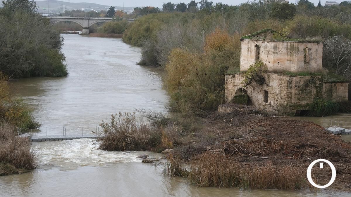 Así va el río Guadalquivir a su paso por Córdoba después de las últimas lluvias