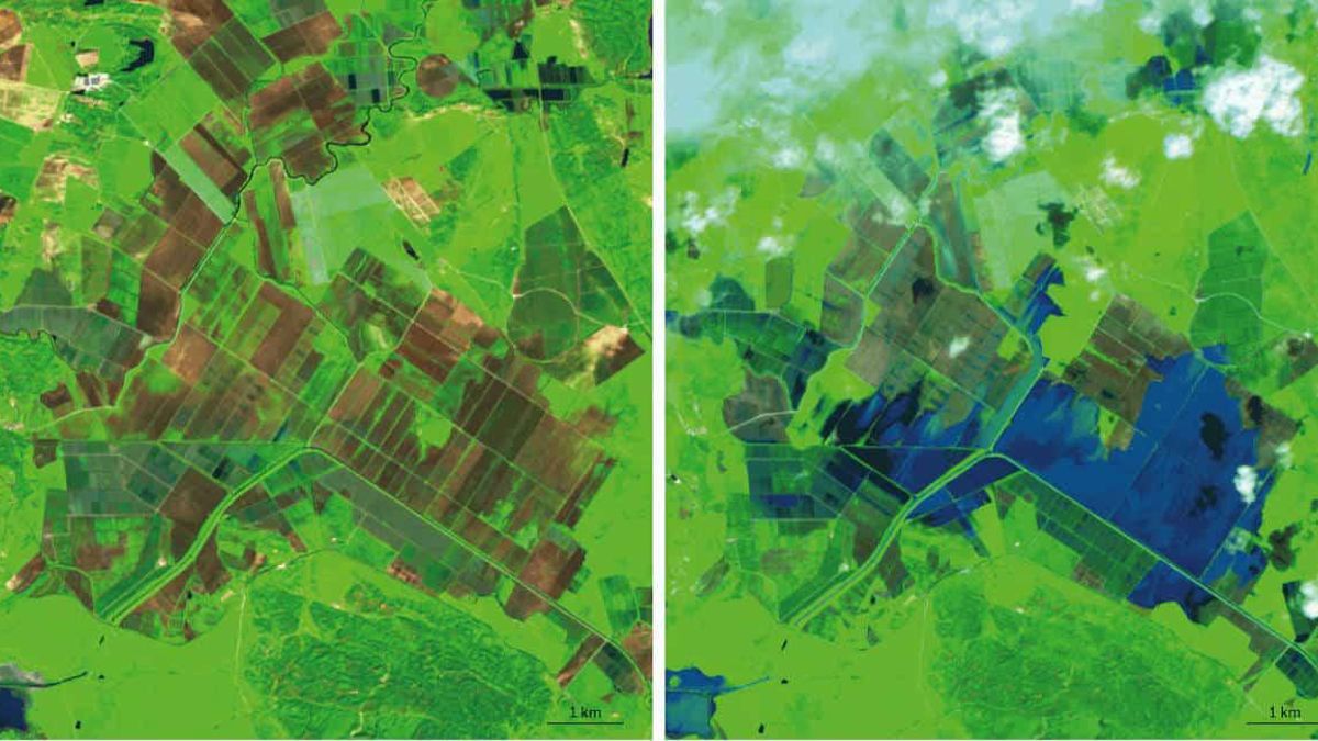 Vista aérea de la laguna de la Janda. A la izquierda el 15 de enero y a la derecha el 21 de marzo de 2025 | Ecologistas en Acción