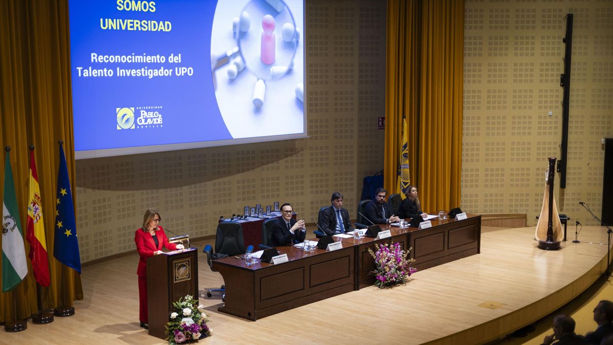 Presentación de los grupos destacados en 'Somos Universidad'.