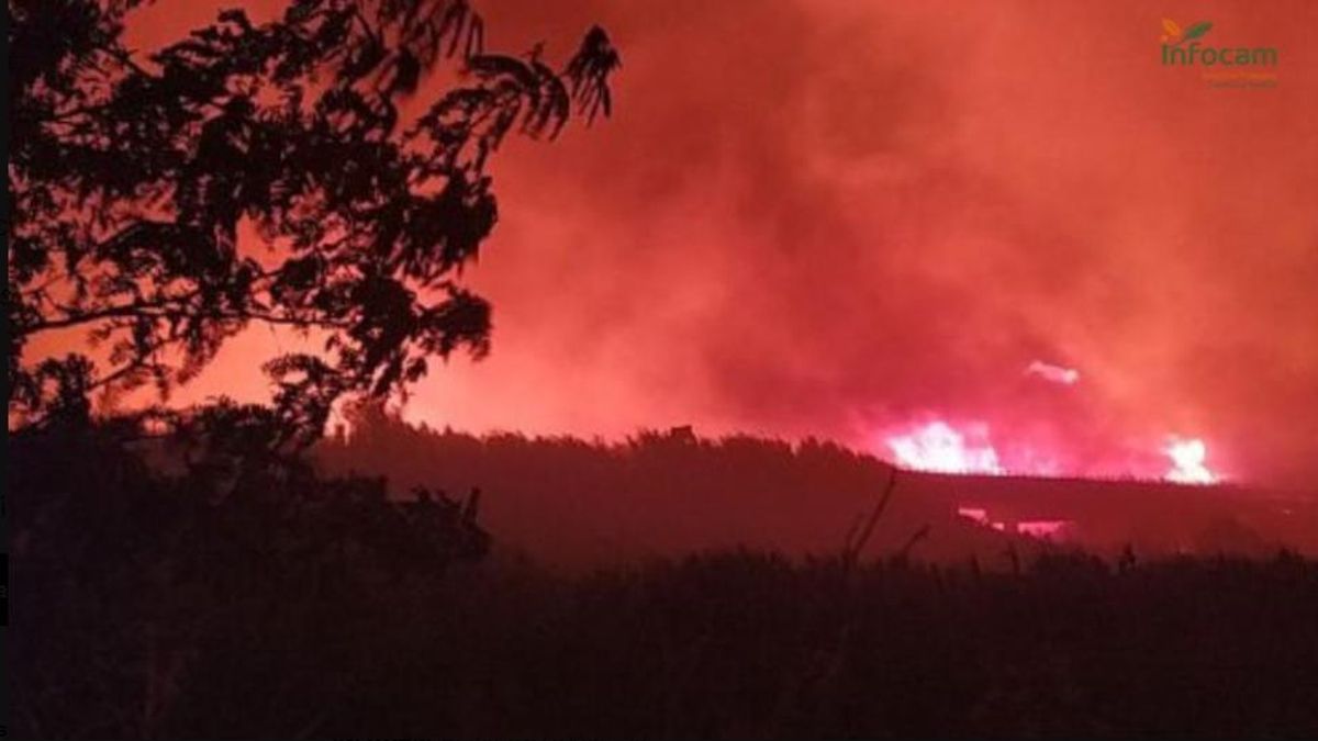 Un incendio obliga a confinar a los más de 4.000 vecinos de Calera y Chozas y corta la vía ferroviaria en la zona