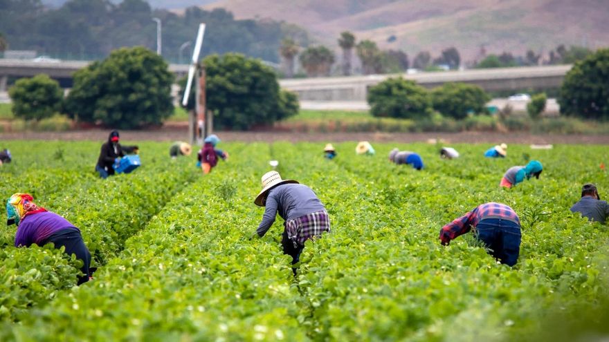 Una nueva huelga en el campo murciano reaviva los debates pendientes sobre explotación laboral e inmigración