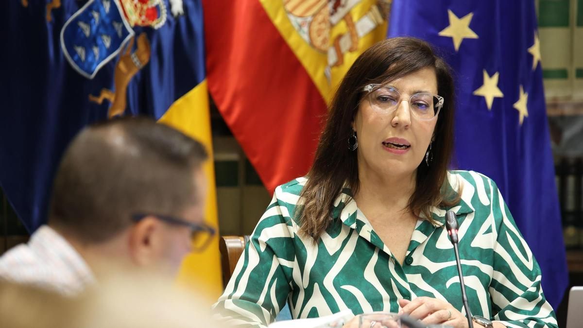 Casi 30 bebés fueron entregados en guarda en Canarias en agosto, una cifra inédita
