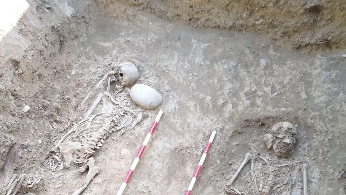 Los restos localizados en el cementerio de Sigüés
