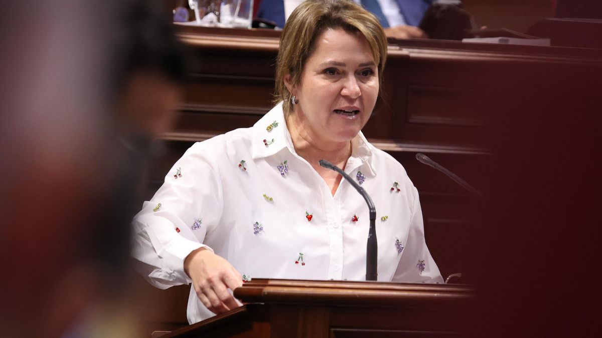 Alicia Vanoostende.diputada por La Palma del PSOE y portavoz de Transición Ecológica del Grupo Parlamentario Socialista.