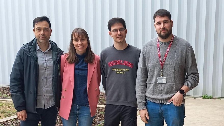 Investigadores aragoneses estudian nuevos nanomateriales y logran avances en la química del origami de ADN