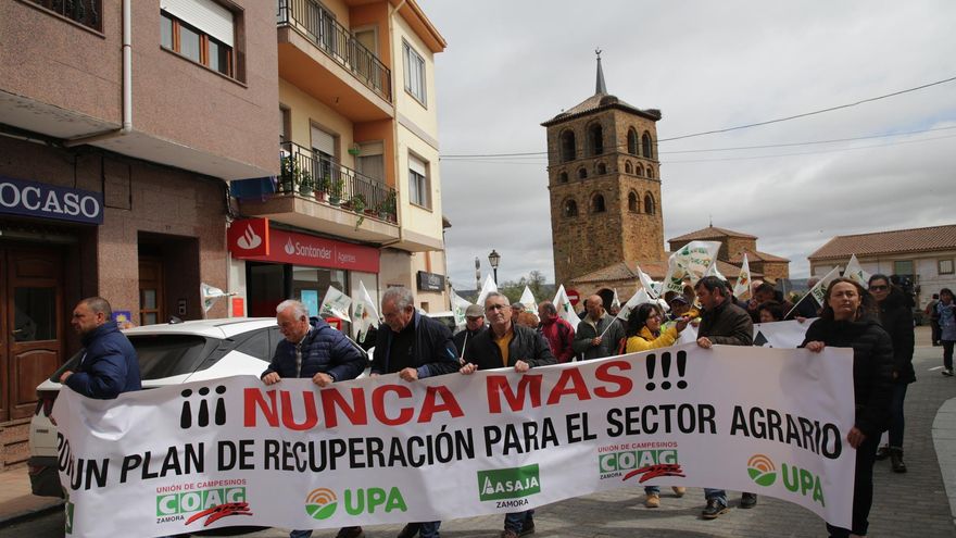 La cabecera de la manifestación por el sector agrario en Tábara.