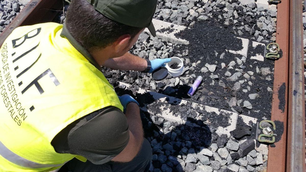 El valor de la criminalística forestal para esclarecer incendios