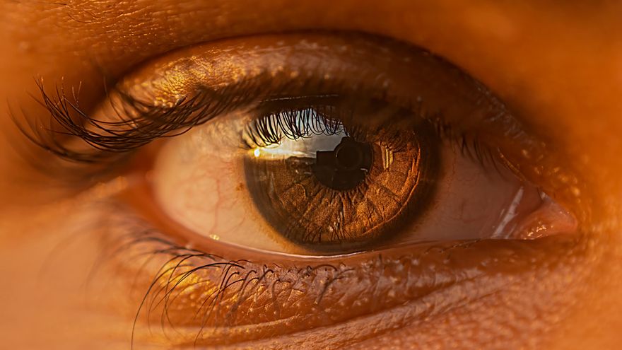 Crean unas lentillas que permiten ver luz infrarroja, incluso con los ojos cerrados