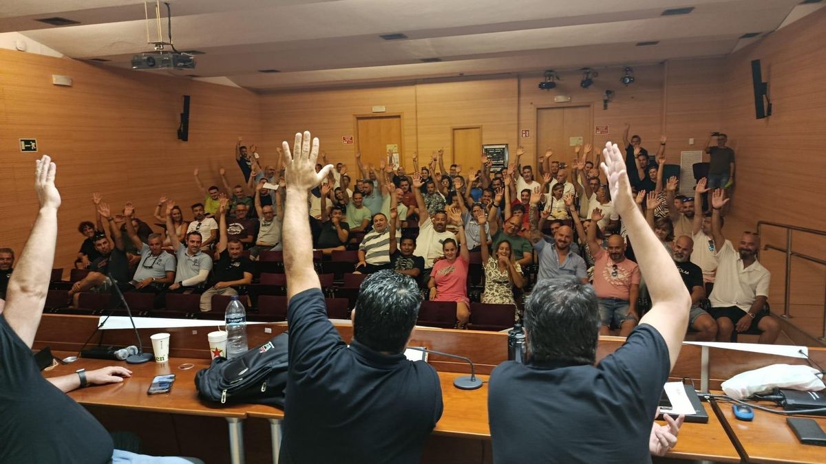 Assemblees de treballadors del TIB.