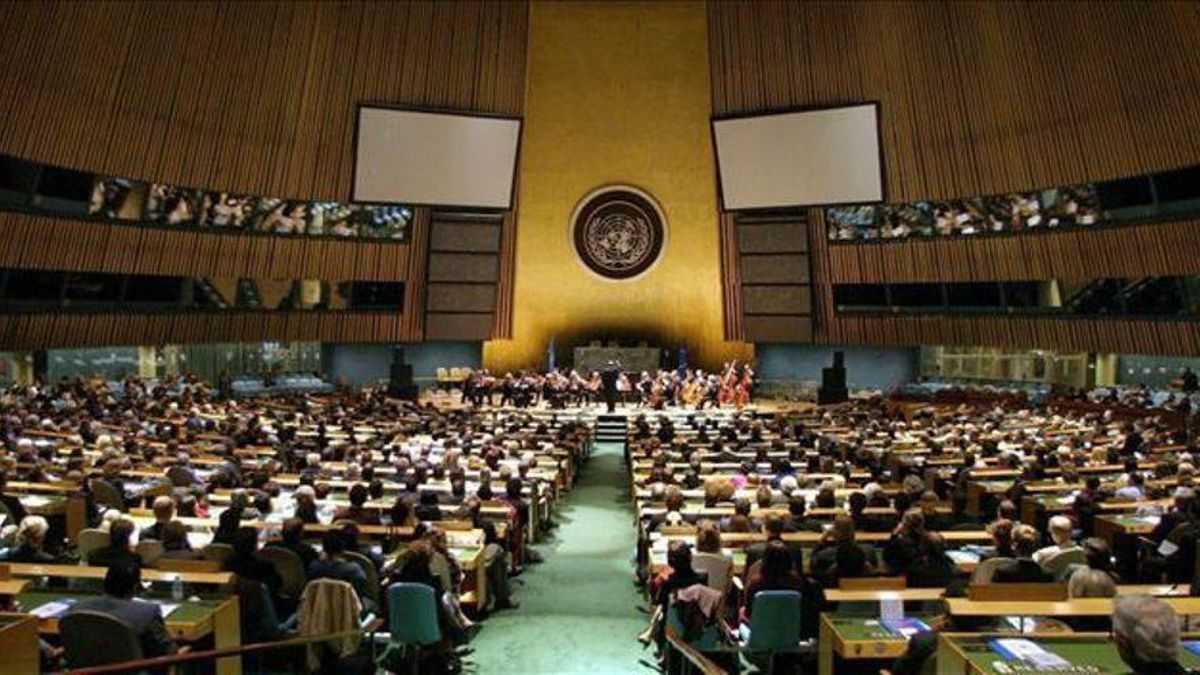Asamblea General de la ONU